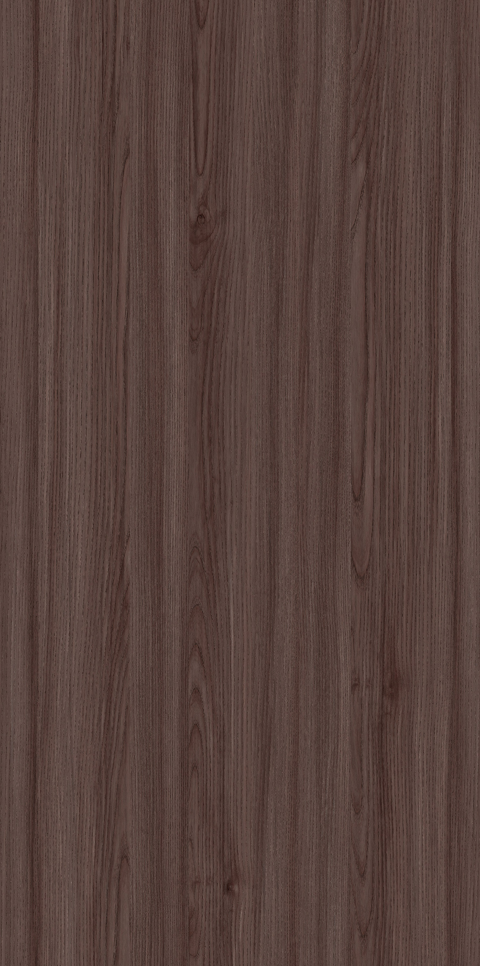 YDHTB1131 克里特橄榄木