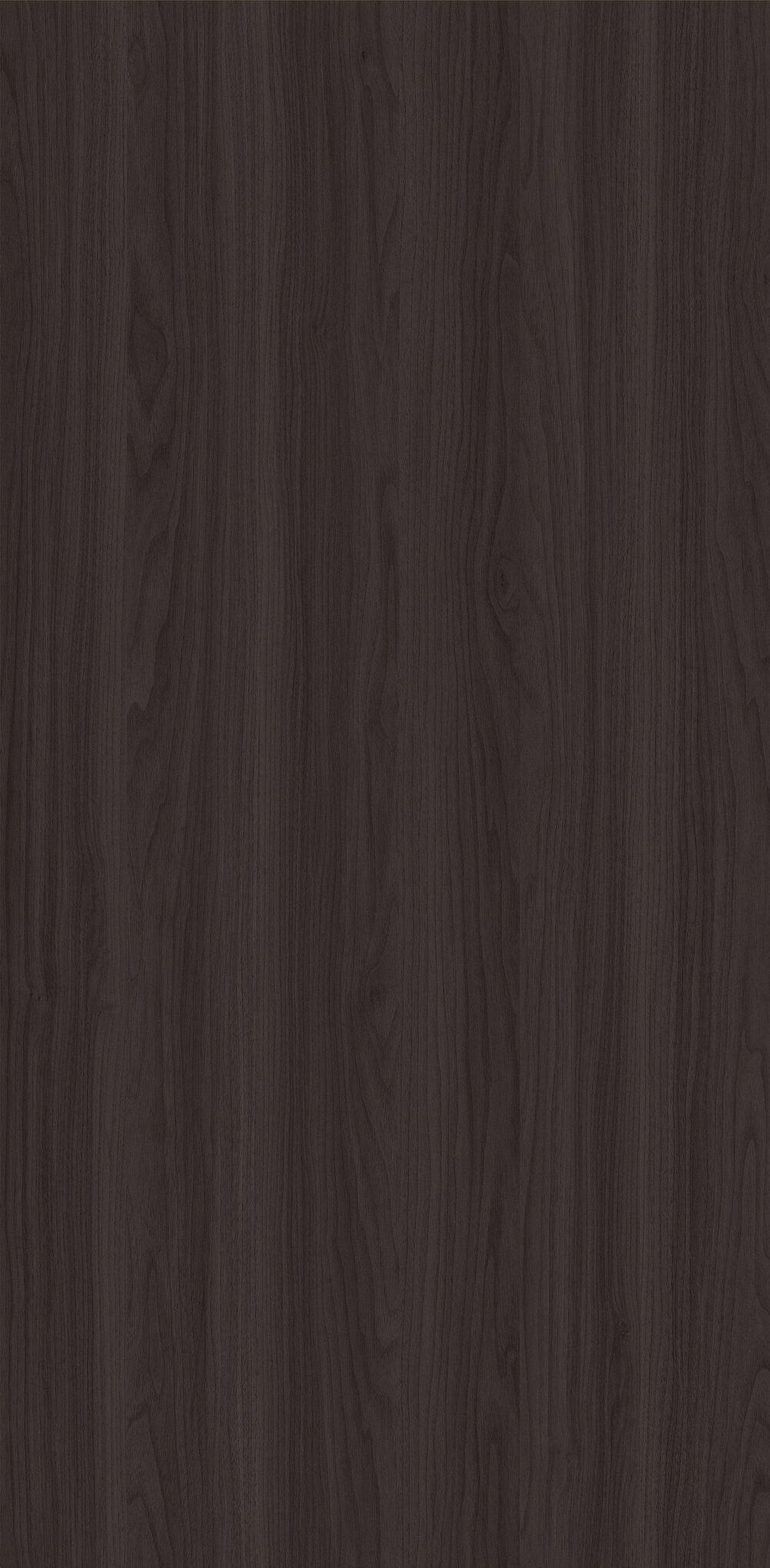 YDHTB1143 科蒂纳胡桃