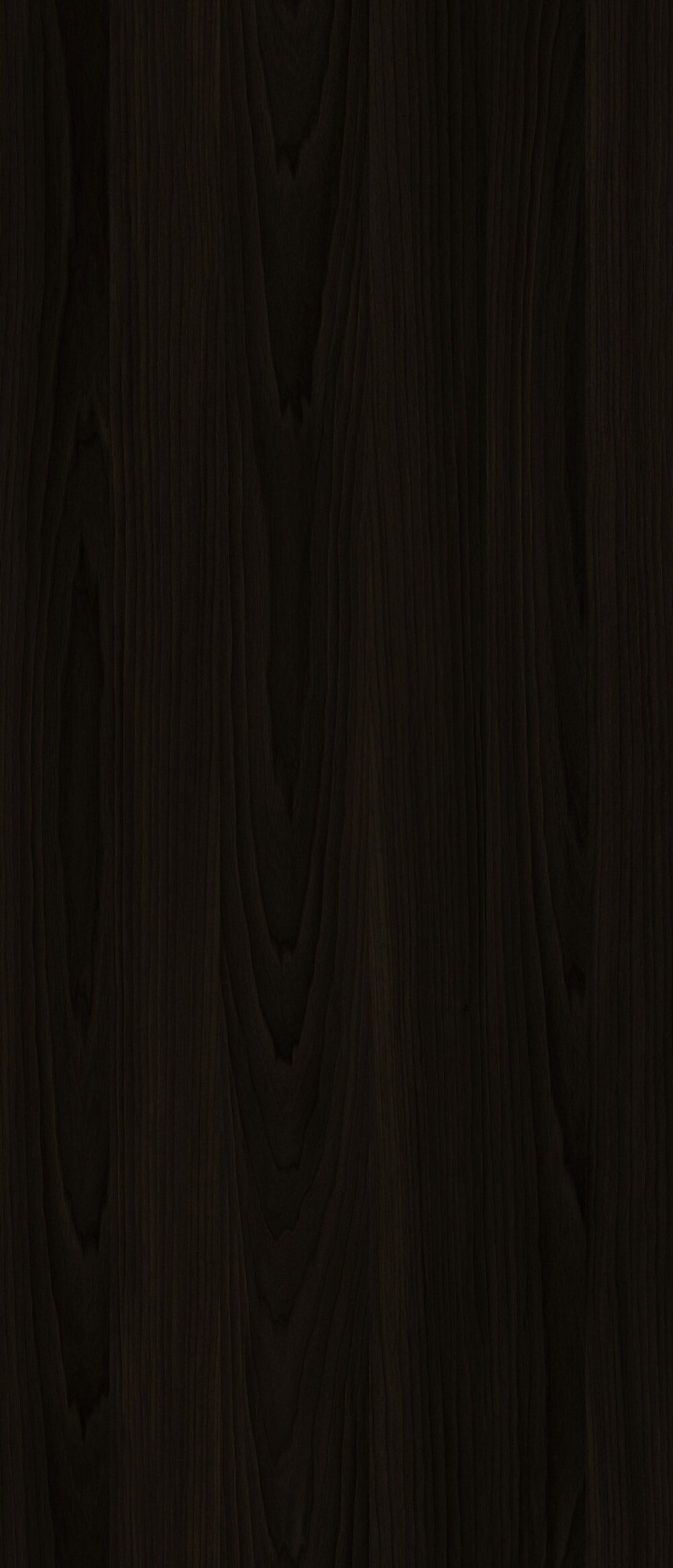 YDHTB1222 拉齐奥胡桃