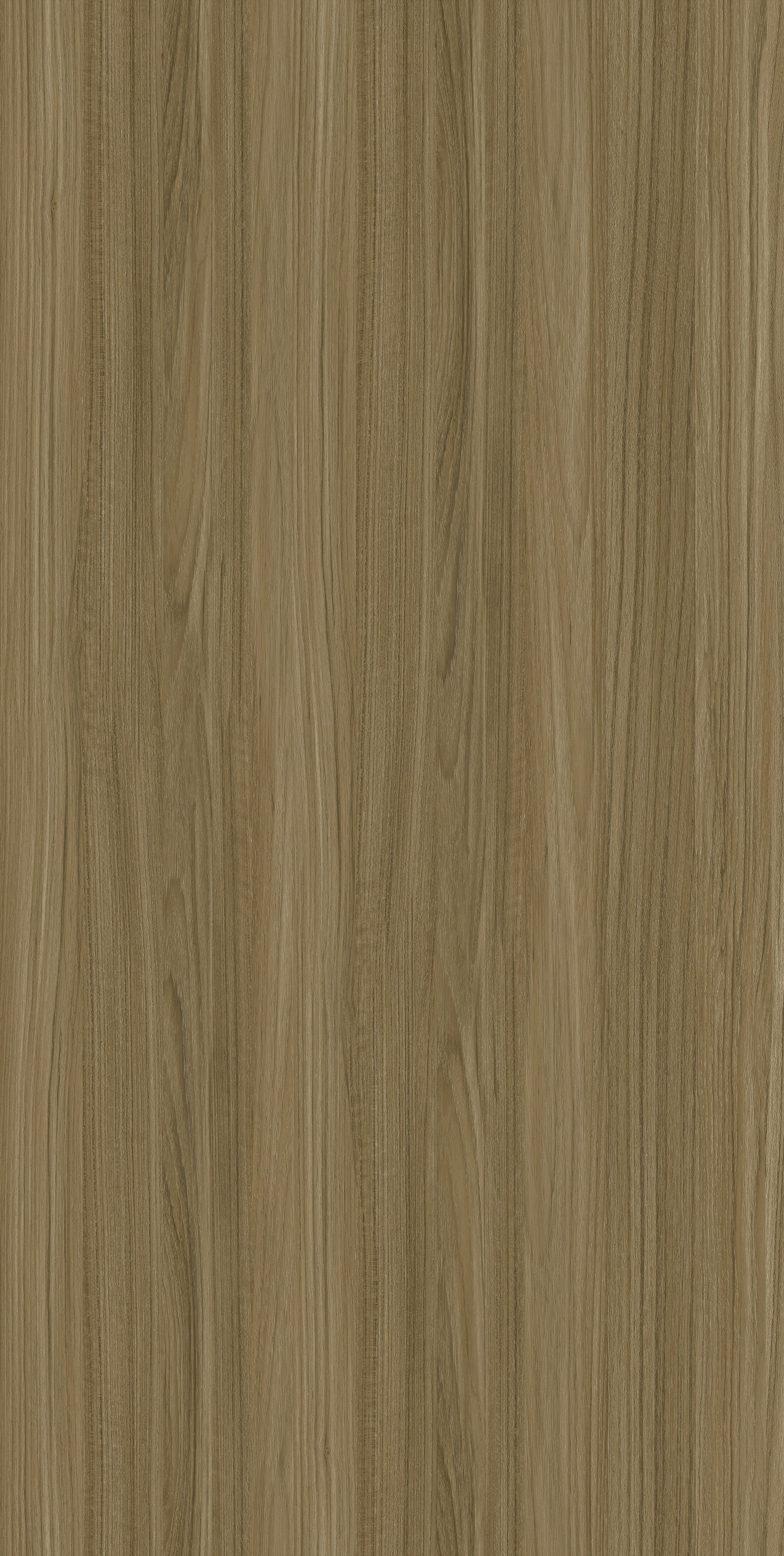 YDH554  盈江柚木